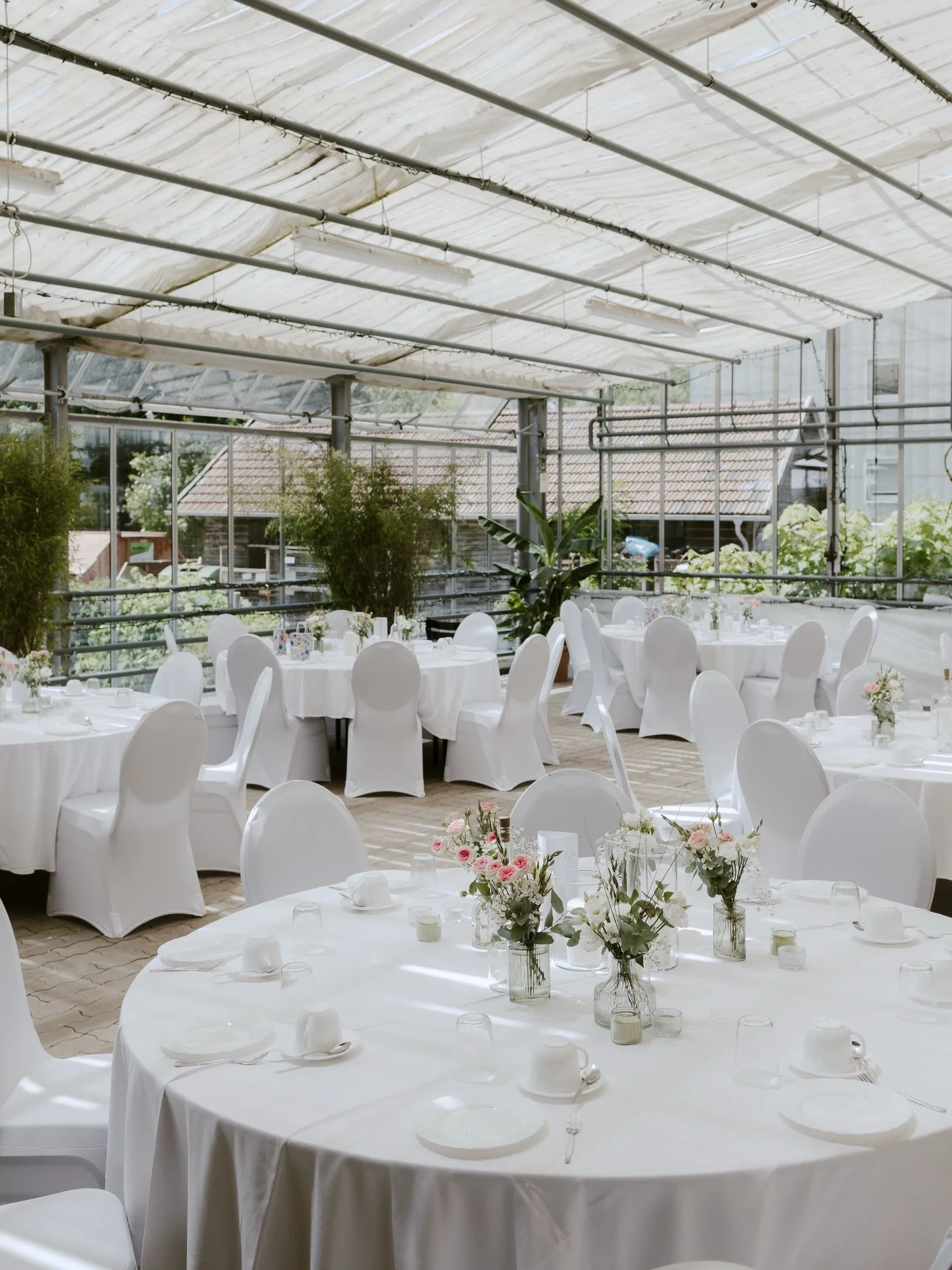 #Weddinglocation  #Gew&auml;chshaus #Hochzeit #Hochzeitsfotograf #Kempten