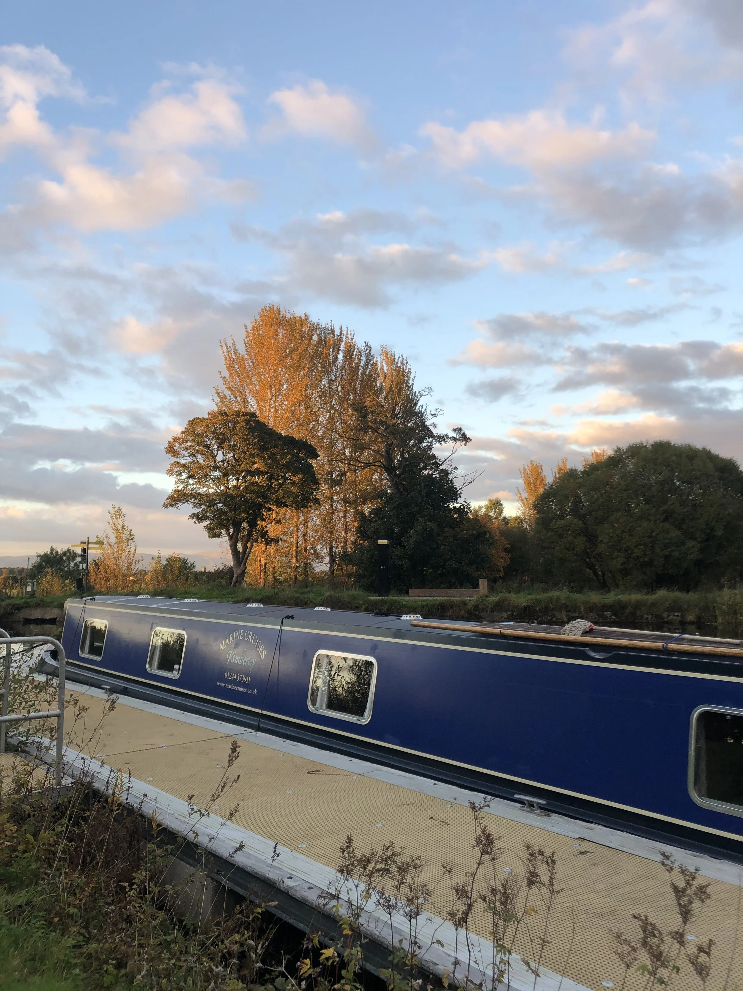 IMG_8071.jpeg