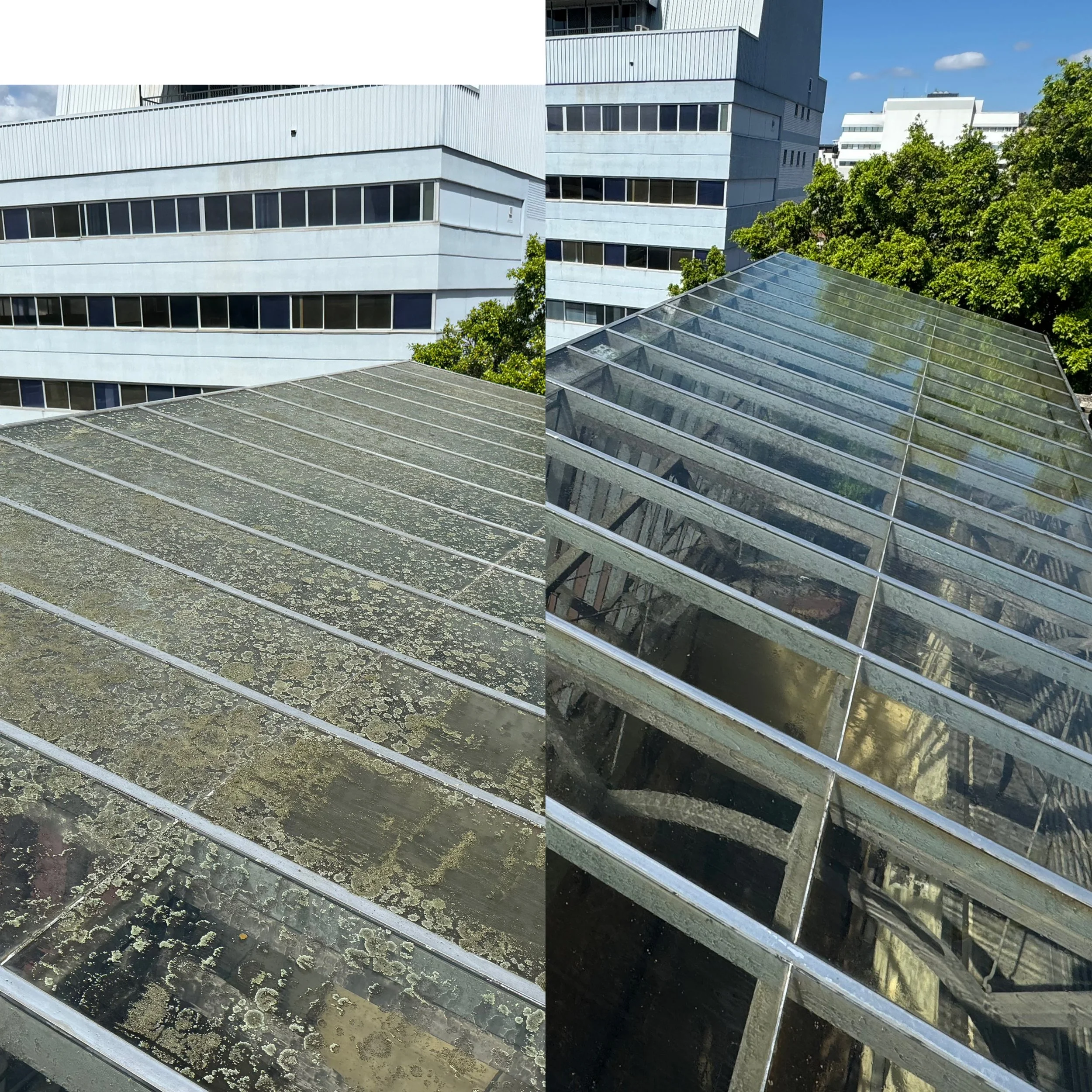 Comparison of two rooftop skylights, one dirty and mossy, and the other cleaned and clear