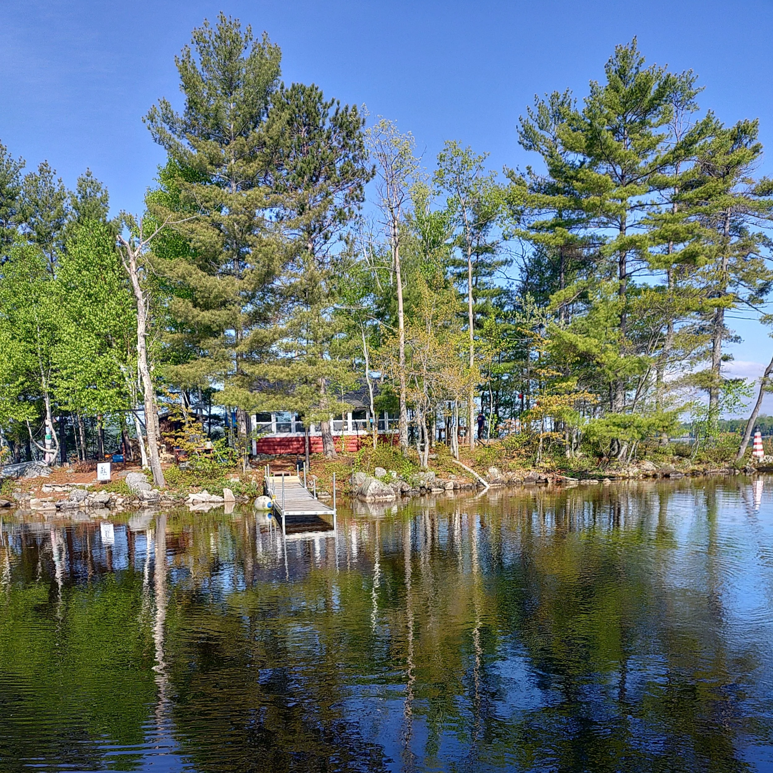 Trees along a river with a wooden dock extending into the water, reflections on the surface, and a bright blue sky.