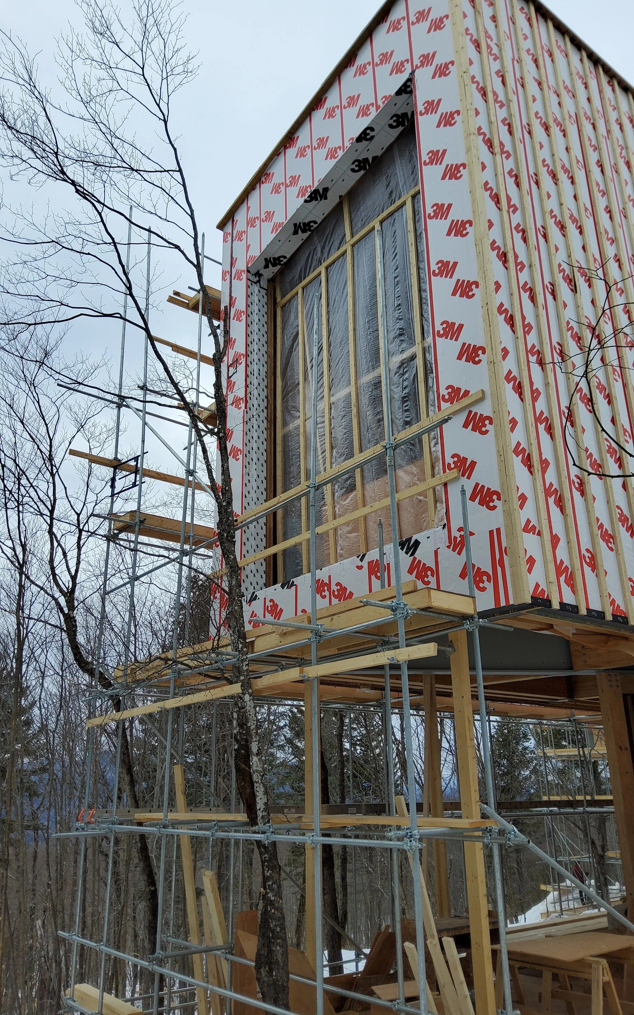 20230310_075953.jpg