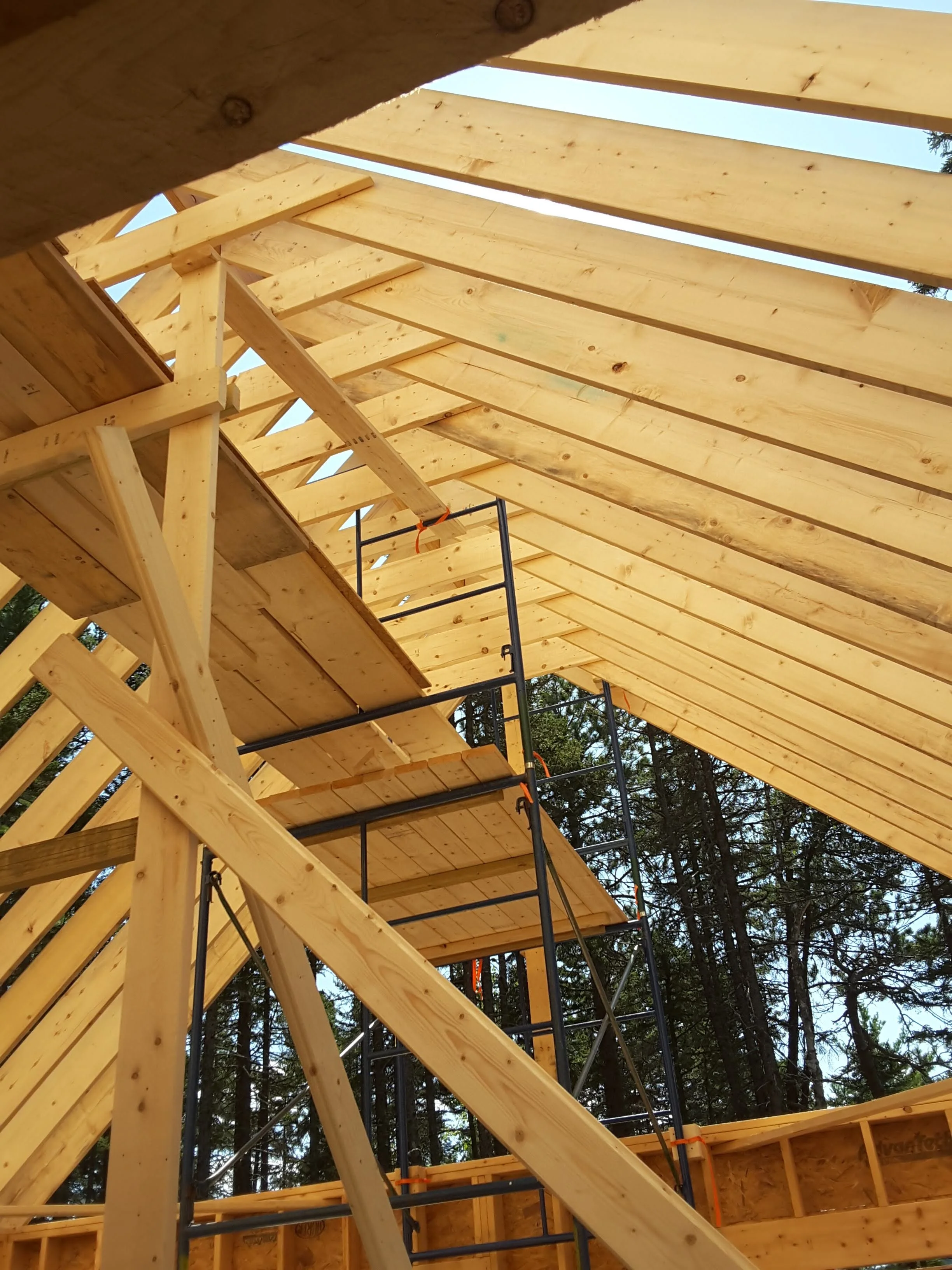 The image shows the wooden framing of a building under construction, with beams and scaffolding inside a forested area.