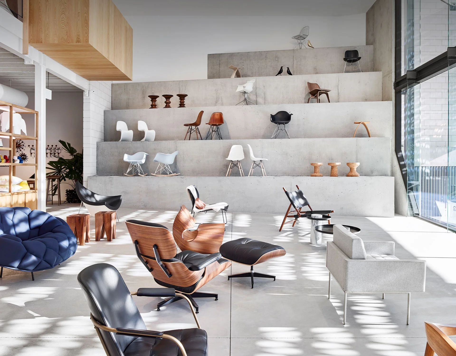 showroom 2.jpg