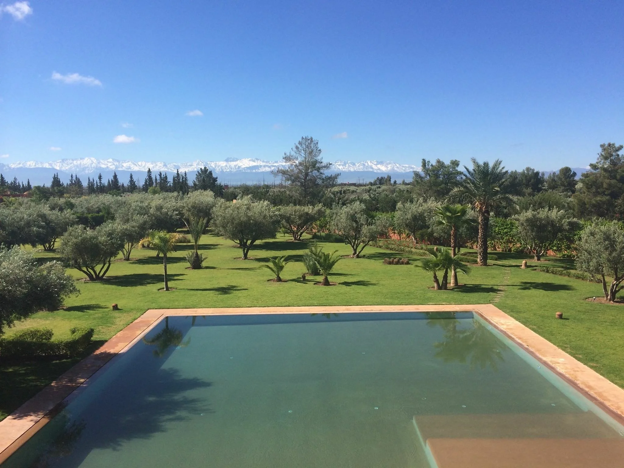 ✨ How to Turn You Into a Profitable Online Brand