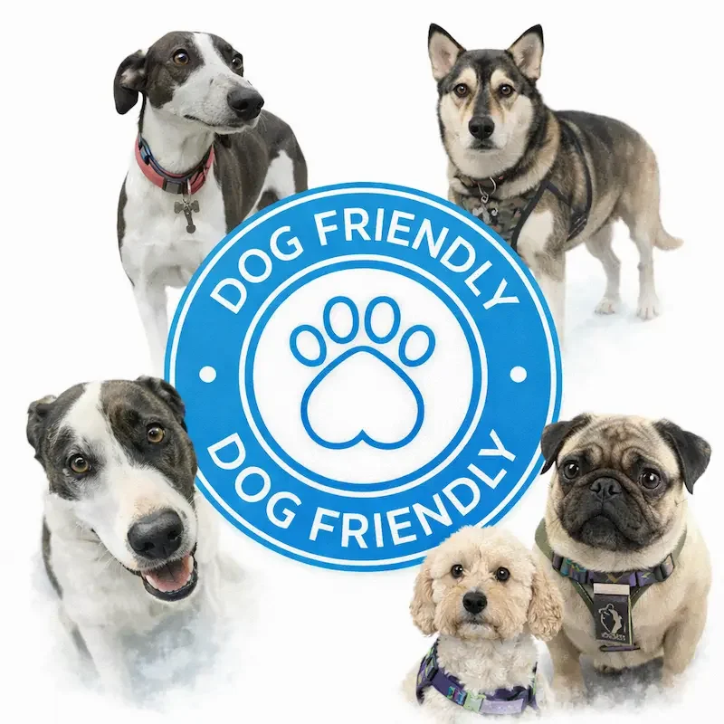 Six dogs of different breeds with a blue circular badge in the center that says "Dog Friendly" twice and has a paw print in the middle.