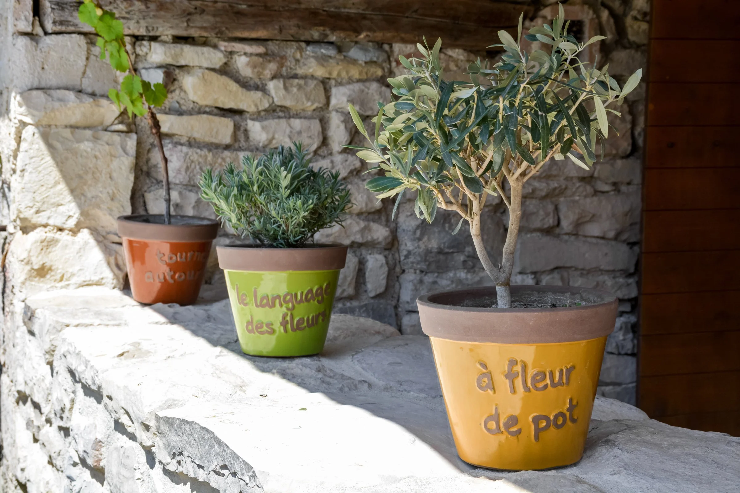 Stilvolles Ferienhaus nahe Nîmes und Montpellier in Südfrankreich