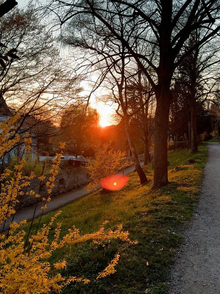 Ich w&uuml;nsche Ihnen und euch frohe Ostern! 🌿
Der Fr&uuml;hling bringt Licht, W&auml;rme und neues Leben &ndash; und Ostern steht genau daf&uuml;r: Hoffnung, Aufbruch und die Kraft der Auferstehung. M&ouml;ge diese Zeit uns allen neue Energie sche