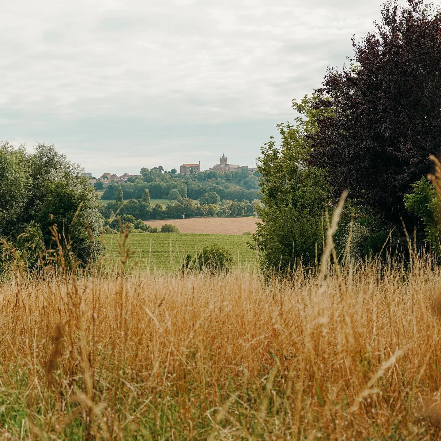 La Flandre, ses monts… et l’inspiration.
Saviez-vous que notre belle Flandre cache de véritables trésors perchés sur ses collines ? 
🏰 Mont Cassel – 176 m – Ses remparts et son panorama unique sur la pl