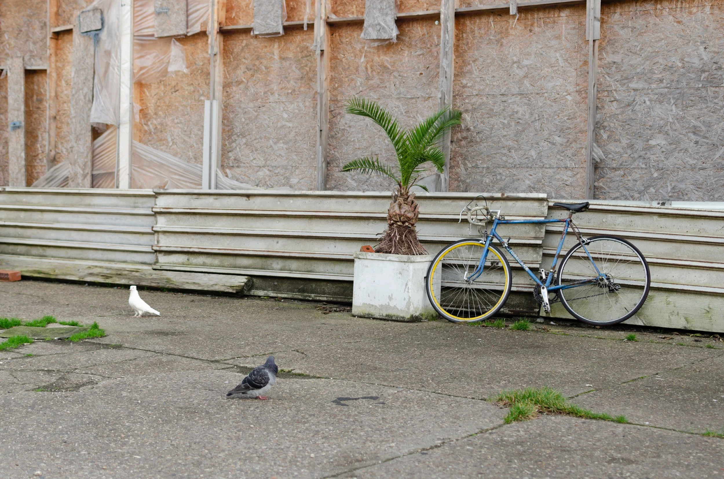 Mosque El Fath, Ghent