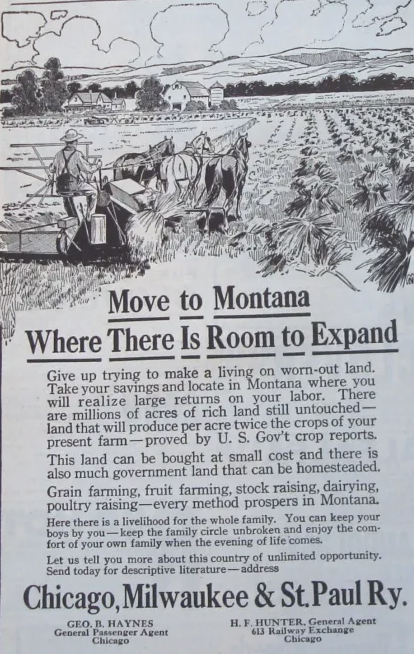 Montana homestead marketing.png