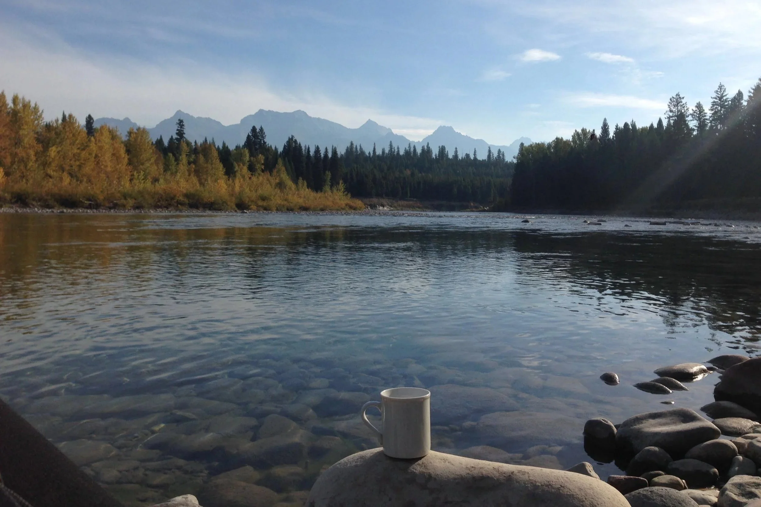 A calm river flows through a forested landscape with mountains in the background under a clear blue sky. A white mug sits on a large smooth rock near the shore in the foreground.