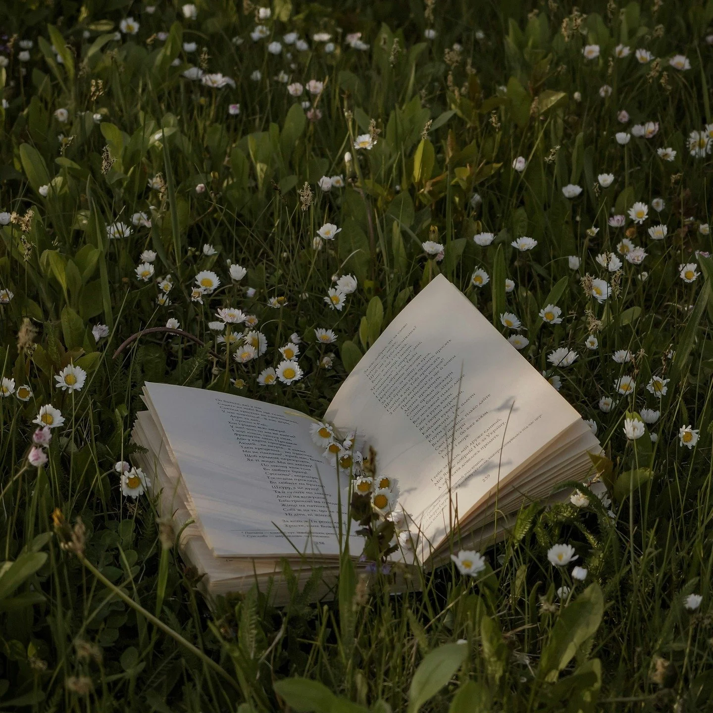 What are you reading today? I'm reading &quot;A Perfect Engagement&quot; by Karla Kratovil.