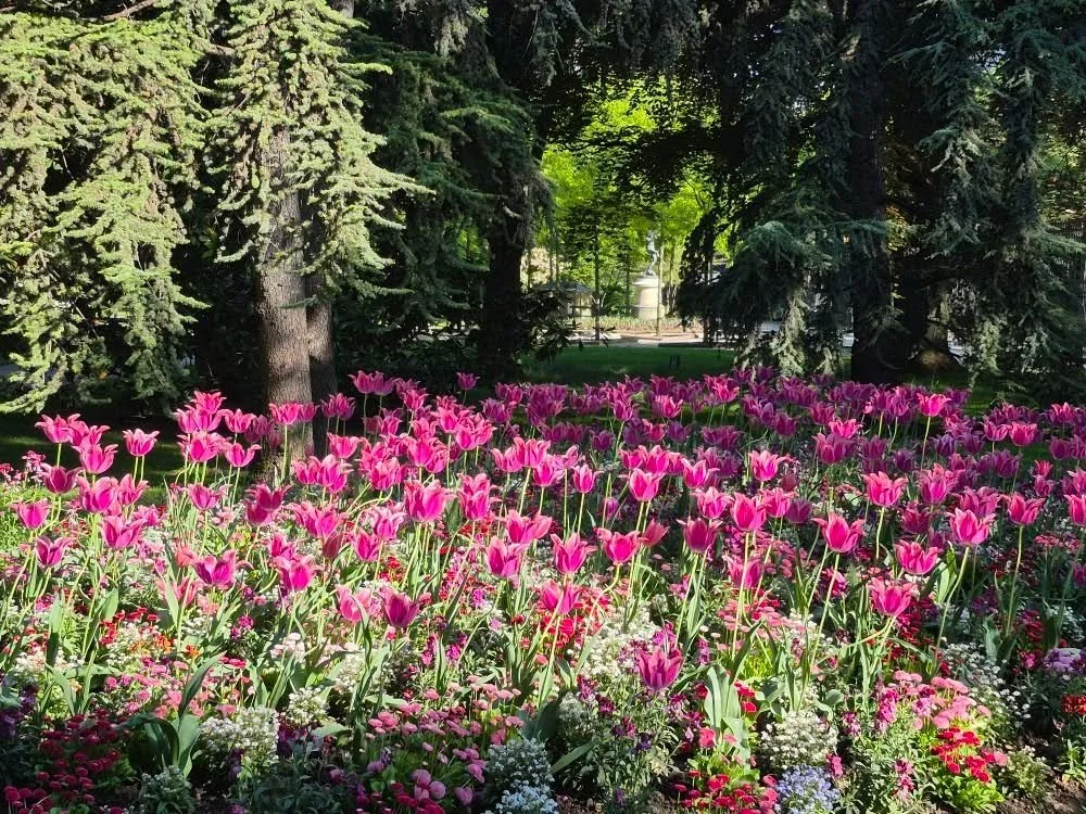 Springtime in Paris! C'est belle!