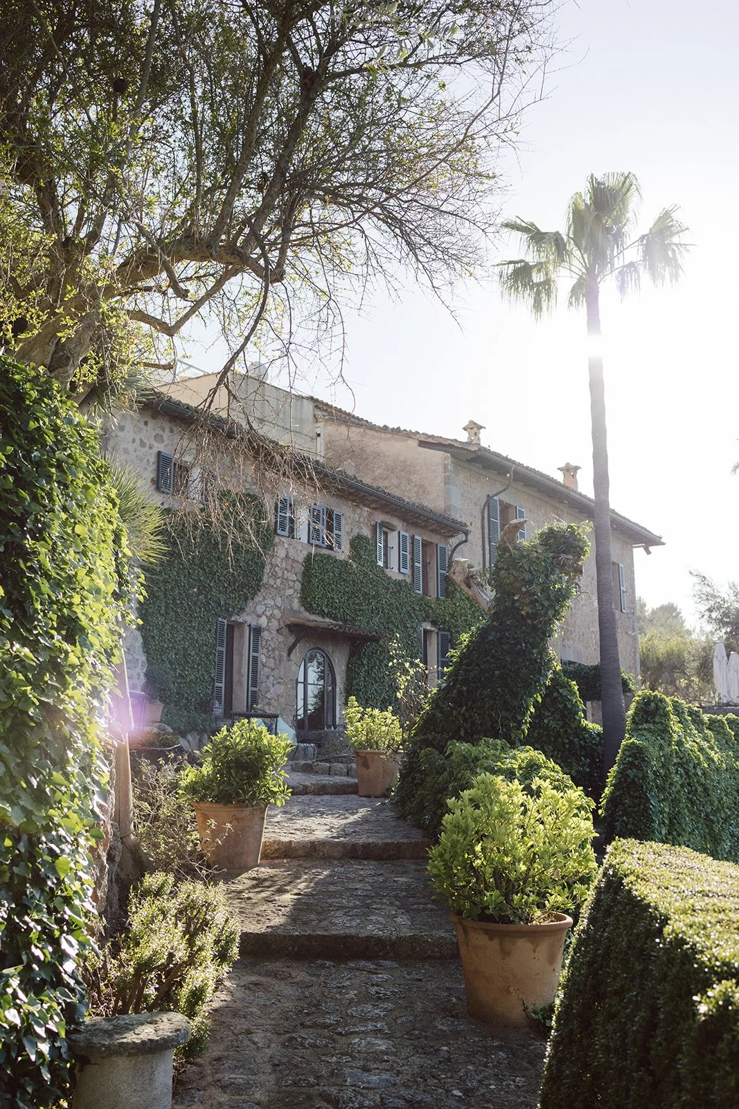 Nikolaus Bednarz Mallorca Ca_s Xorc-54.jpg