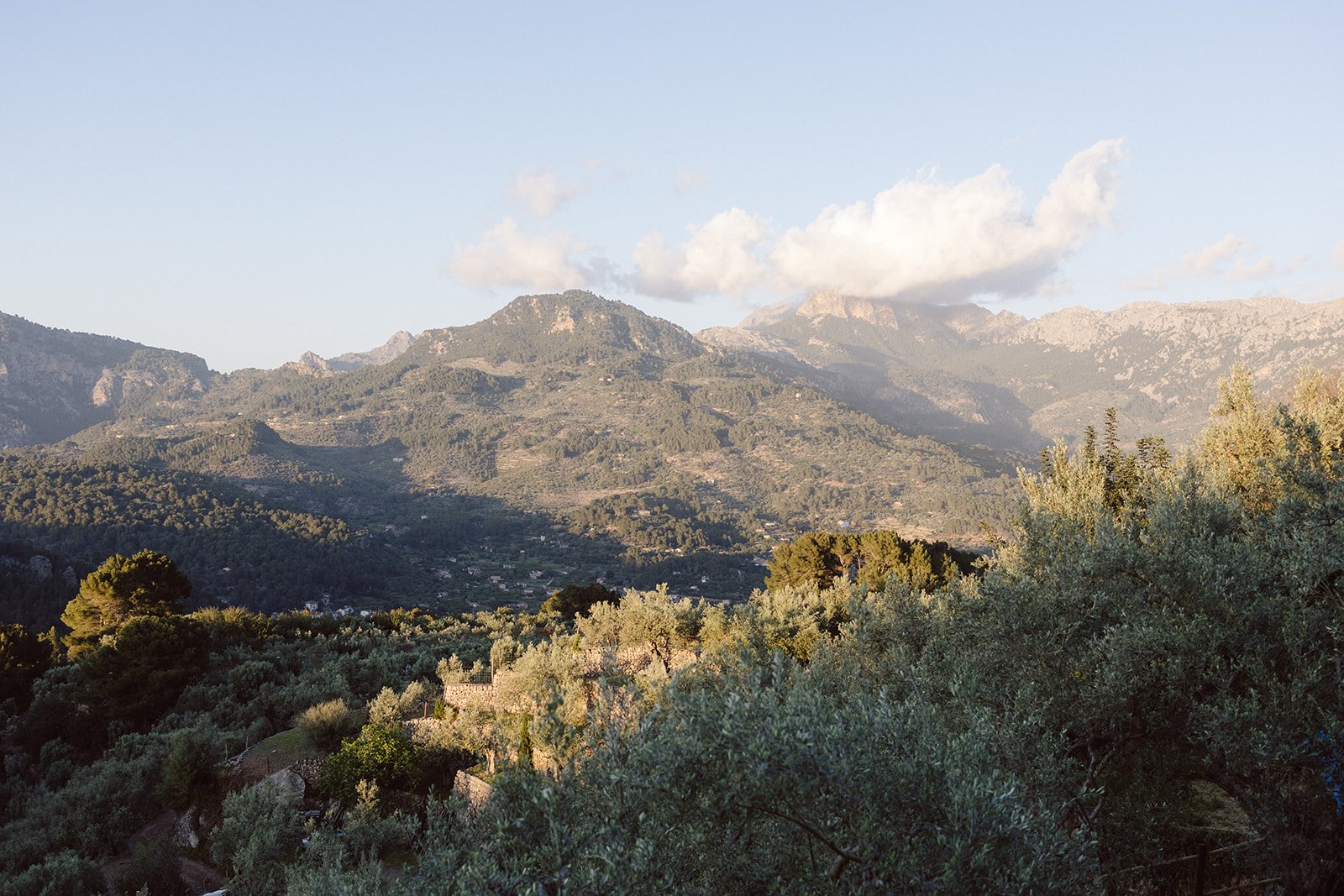 Nikolaus Bednarz Mallorca-79.jpg