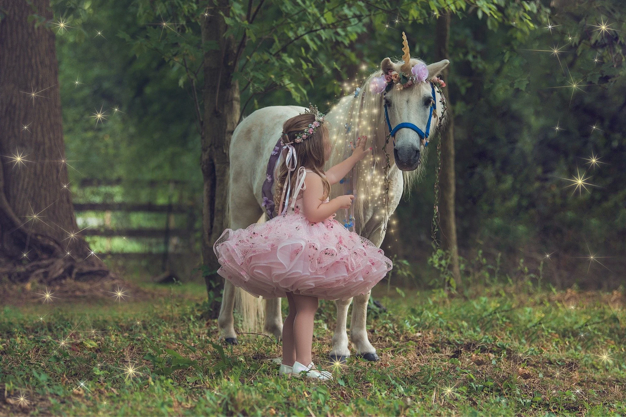 🦄✨ Magical Unicorn Sessions are THIS weekend! ✨🦄
This happens only once a year &mdash; don&rsquo;t miss this magical opportunity 🤍
Limited spots remaining!
https://book.usesession.com/s/4dBnko3mTQ