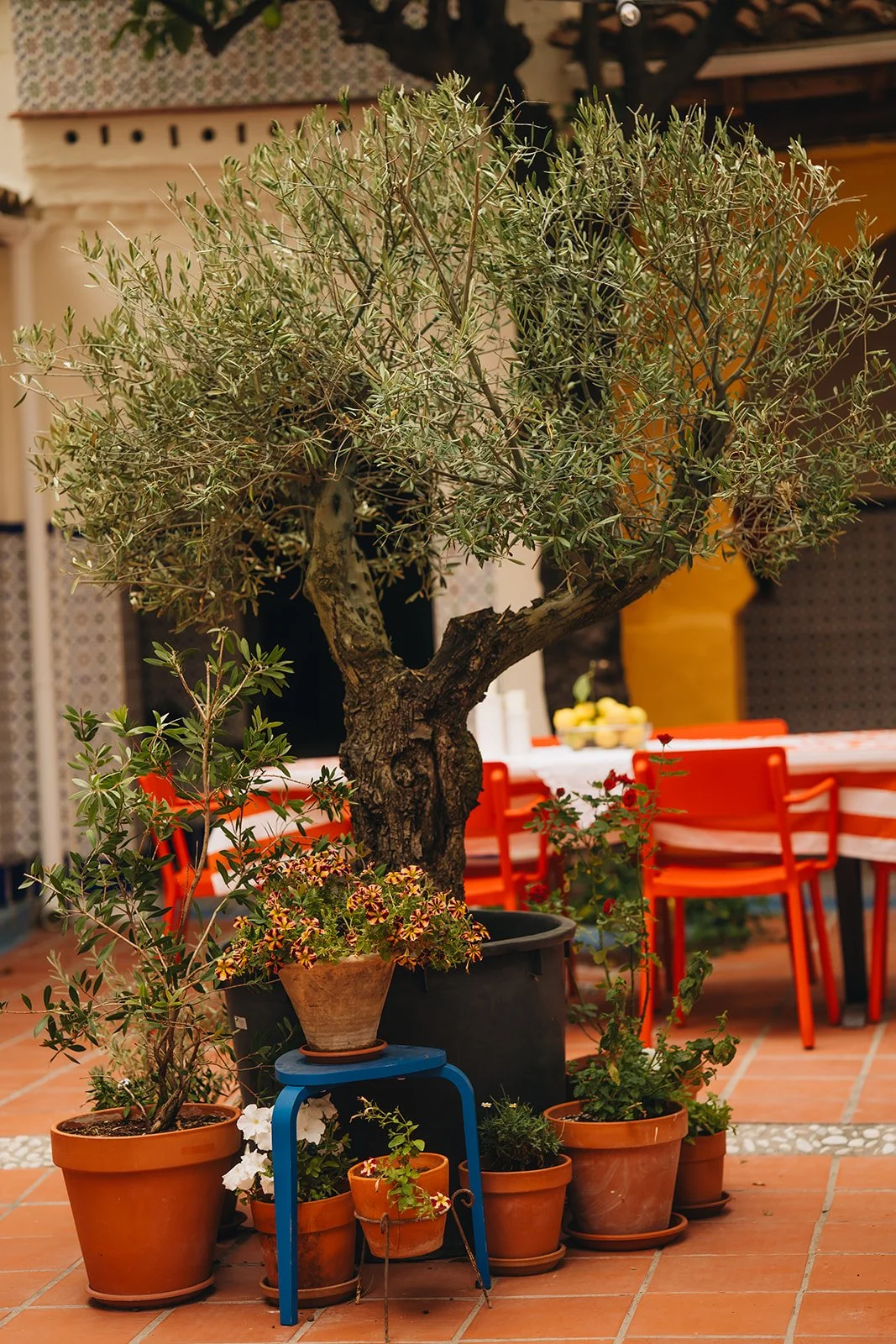 Jerez Concept hotel Cadiz Sevilla 