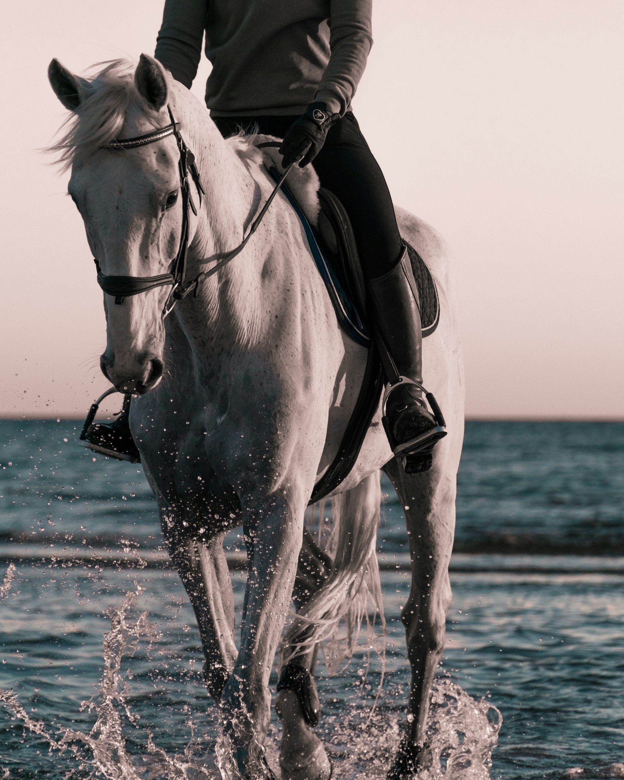 A person riding a white horse through shallow water near the shore at sunset