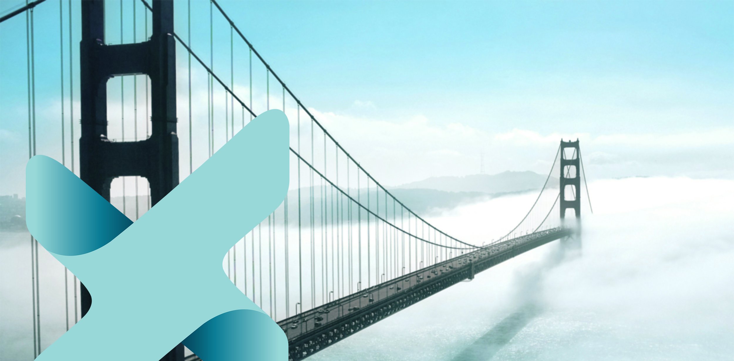 xandi – analog wird digital