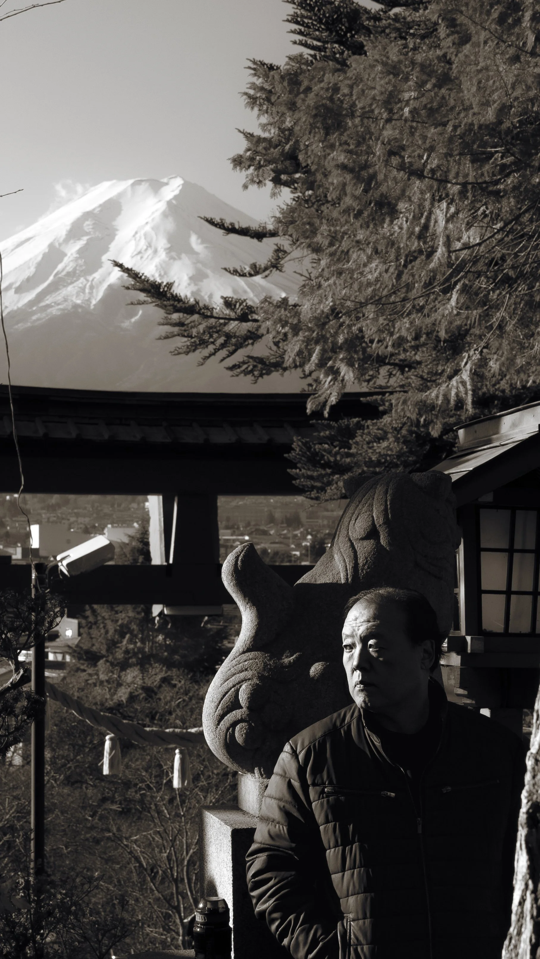 Old Fuji.jpg