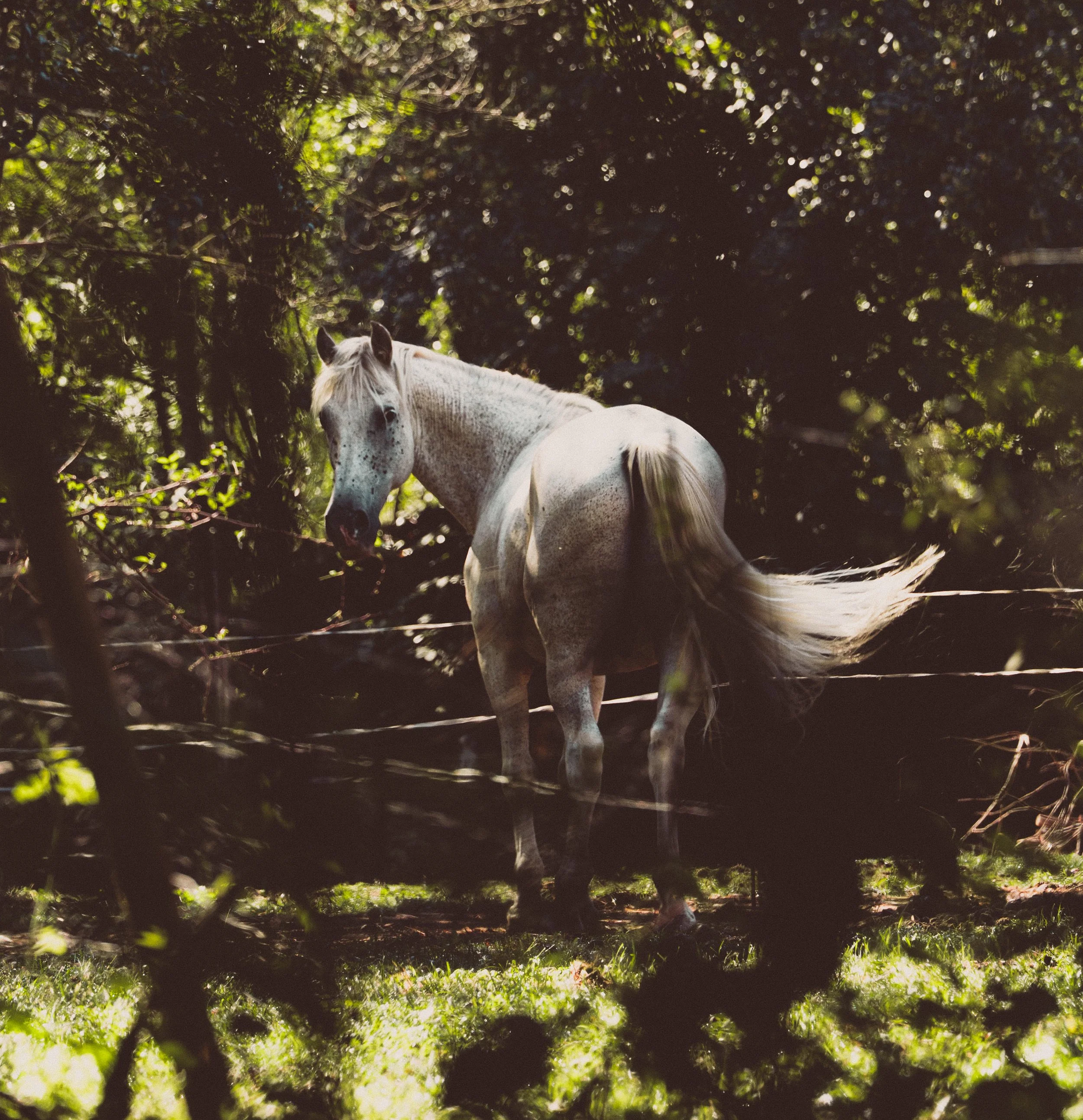 Un modelo muy natural.