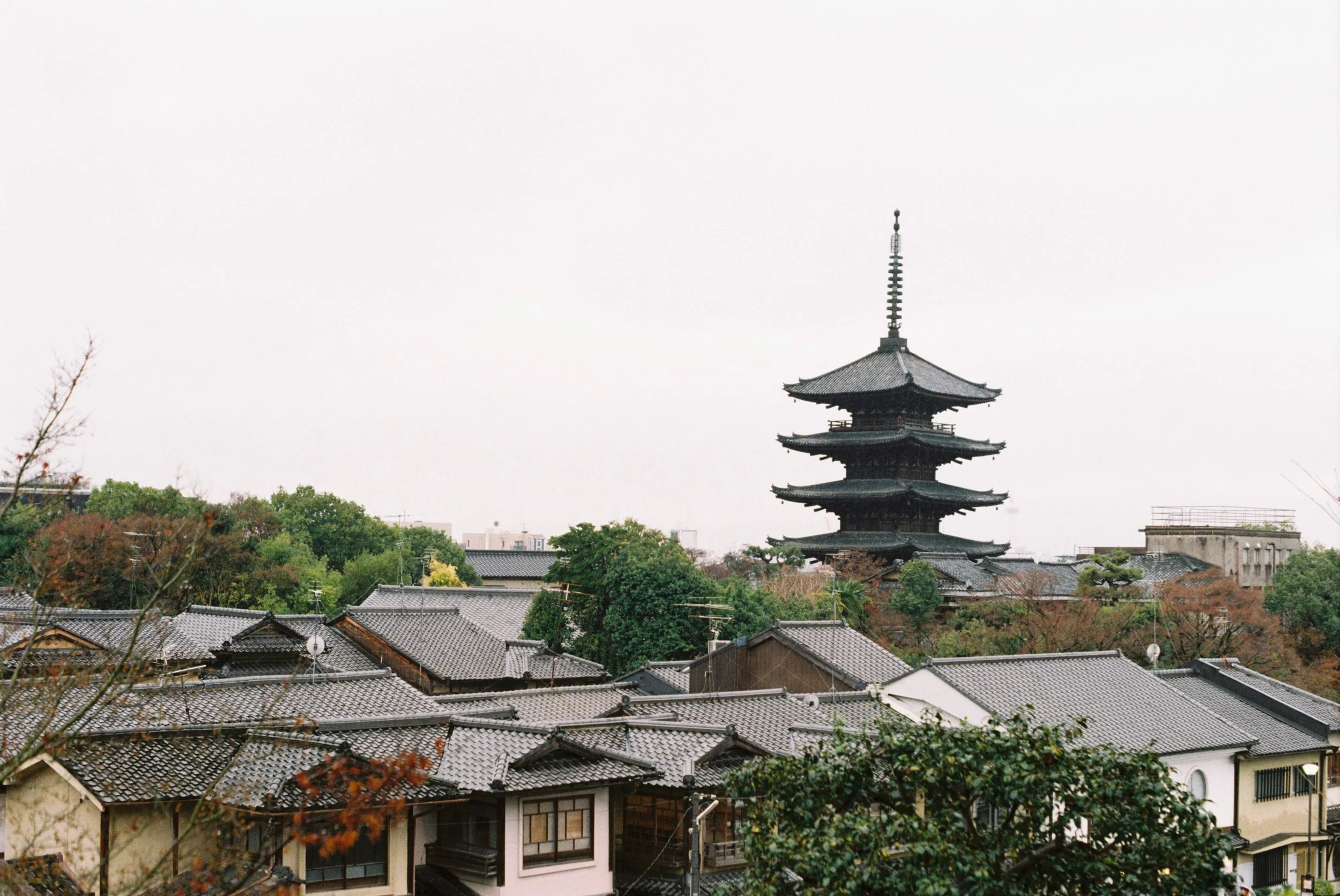 005434--011--VK.jpg