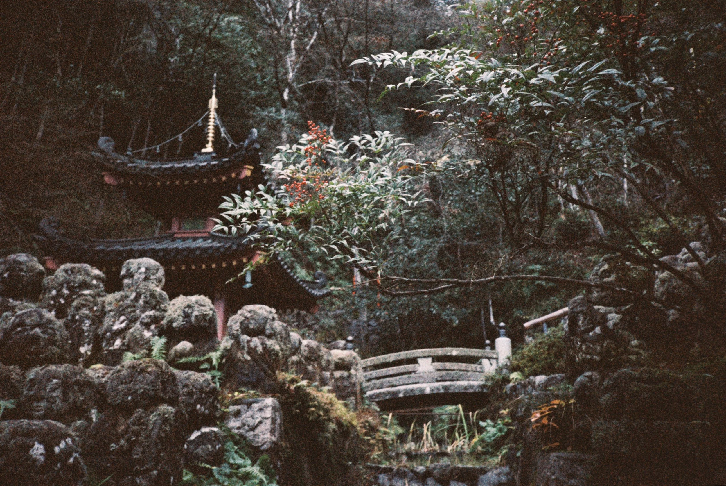 005435--022--VK.jpg