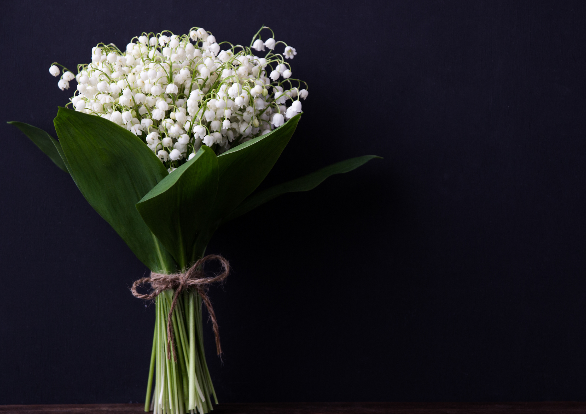 Elegant Wedding Checklist: 4 Essential Elements of an Elegant Wedding