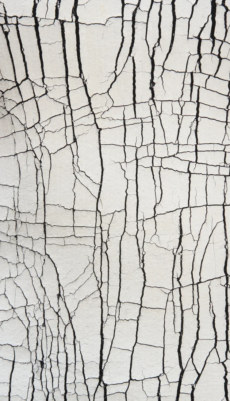Balenciaga by Alexander Wang Painted Knit | 18.01LONDON Archive

Balenciaga by Alexander Wang knitwear featuring painted crackle-effect surface treatment and abstract texture.

A Balenciaga by Alexander Wang knit exploring painted surface treatments,