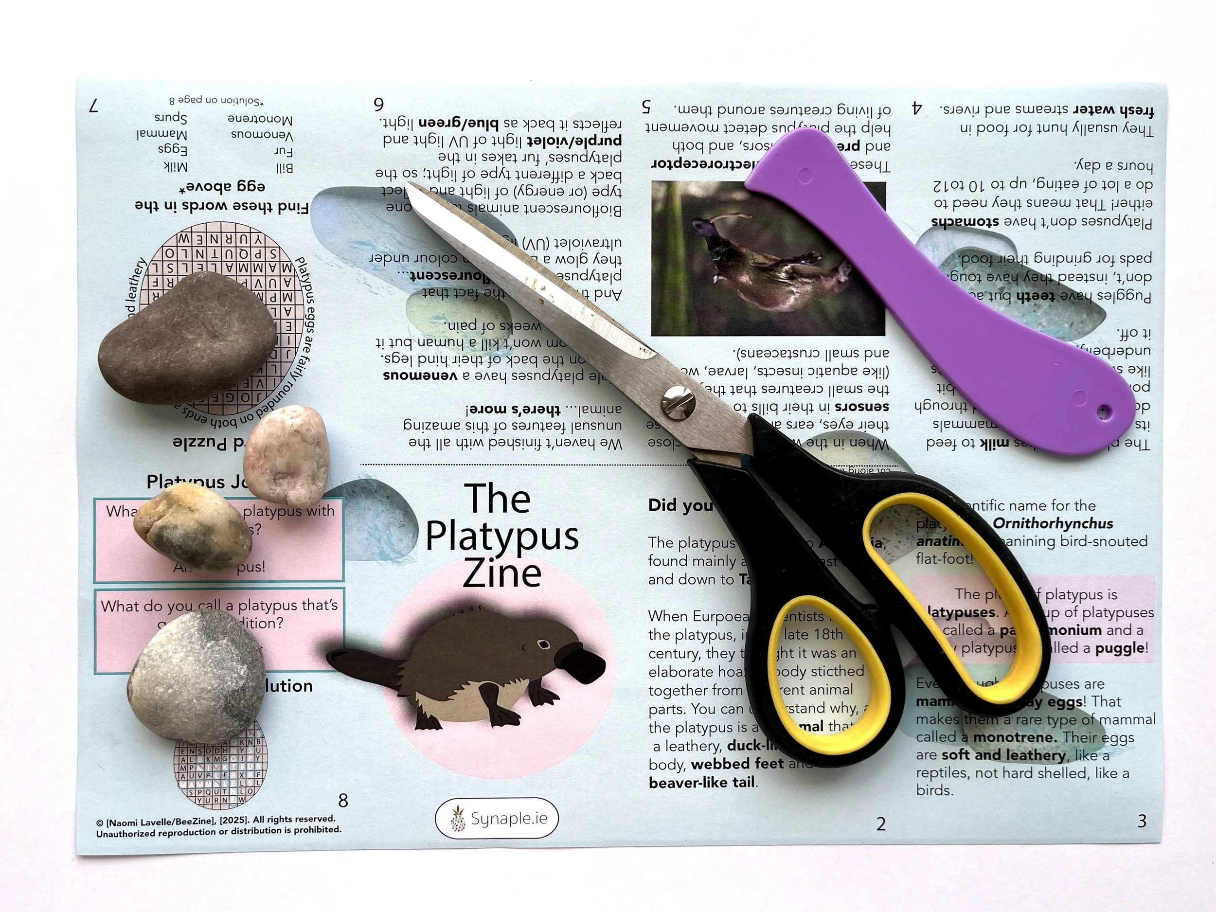 Platypus flatlay.jpg