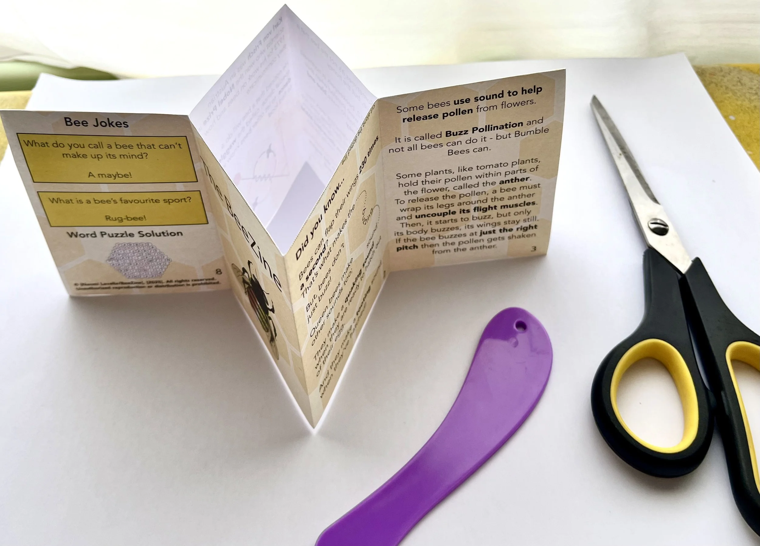 BeeZine flatlay 2.jpg