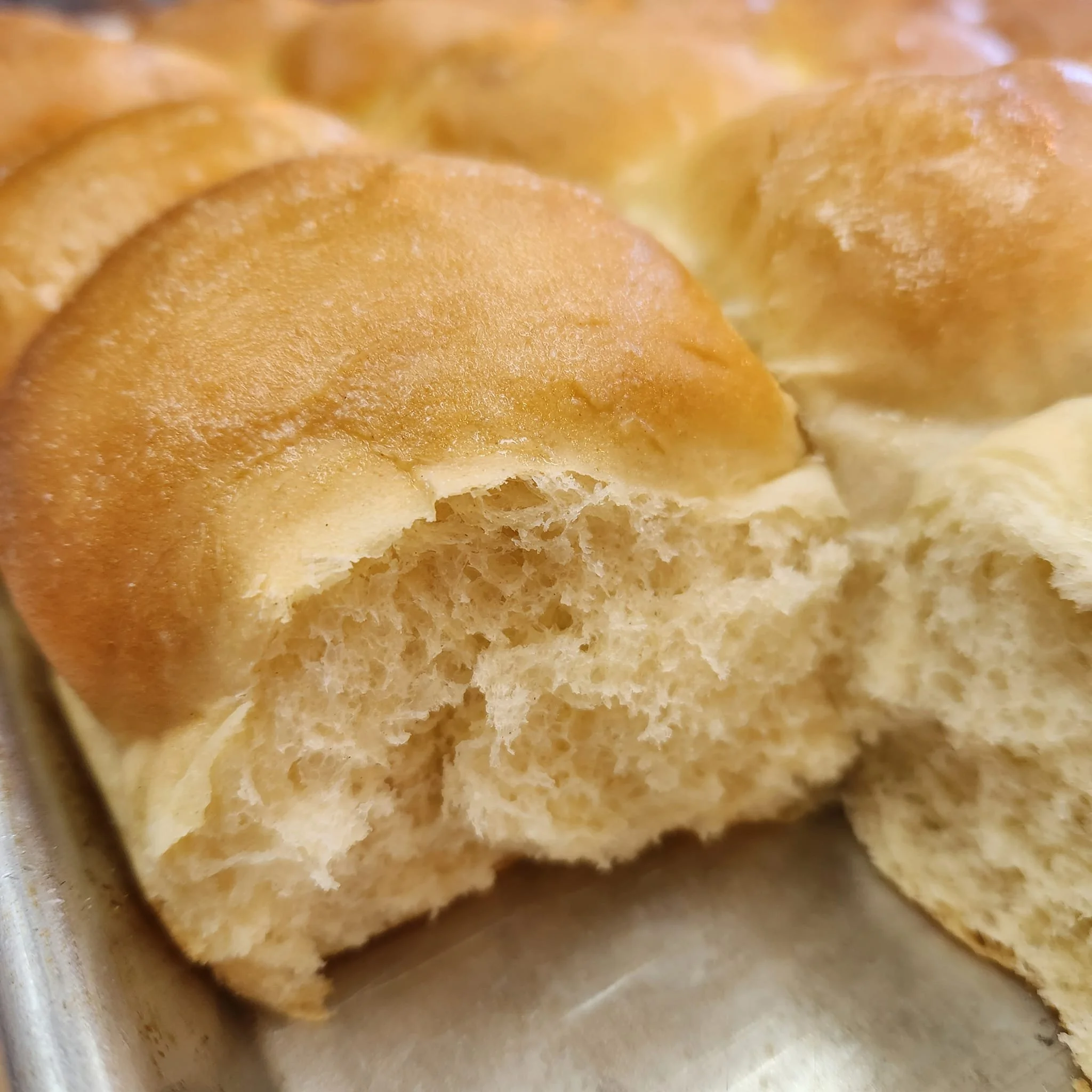 Dinner Rolls