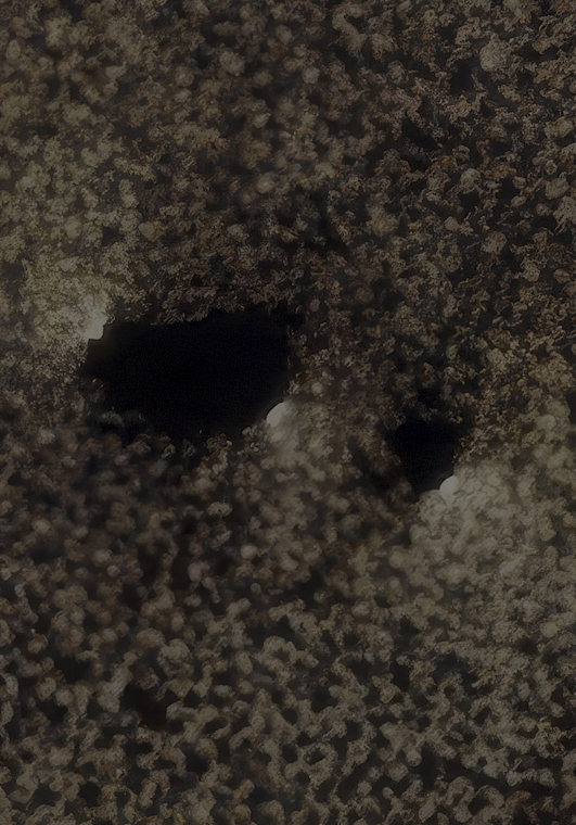 Holes.png