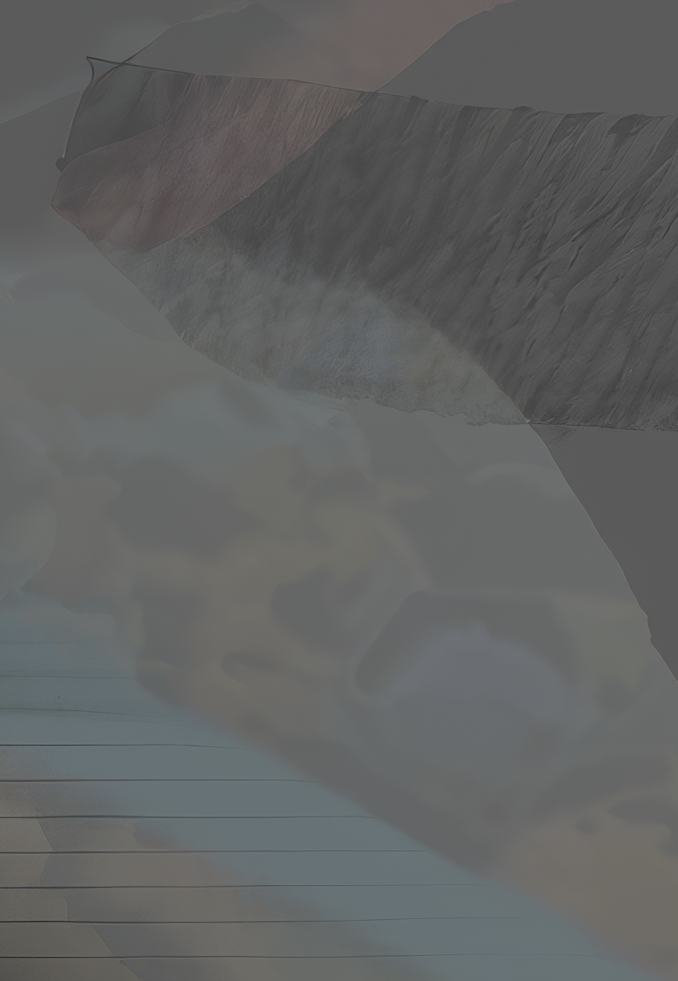 Body.png