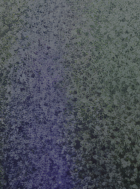 Green & Blue.png