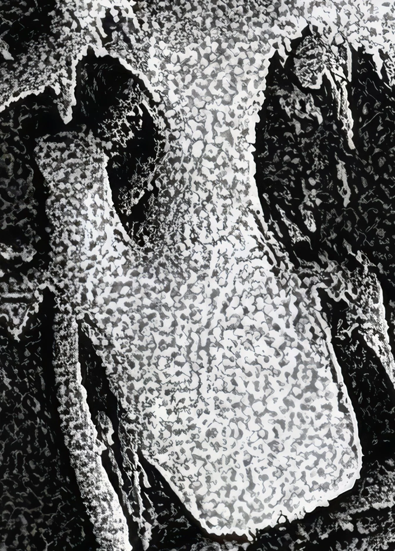 Hat.jpg