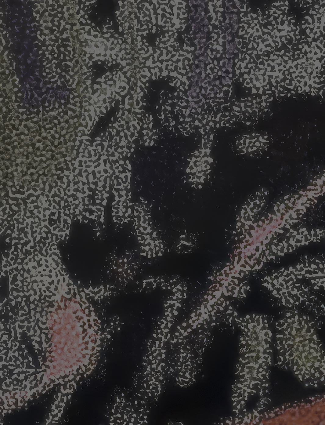 Neck.png