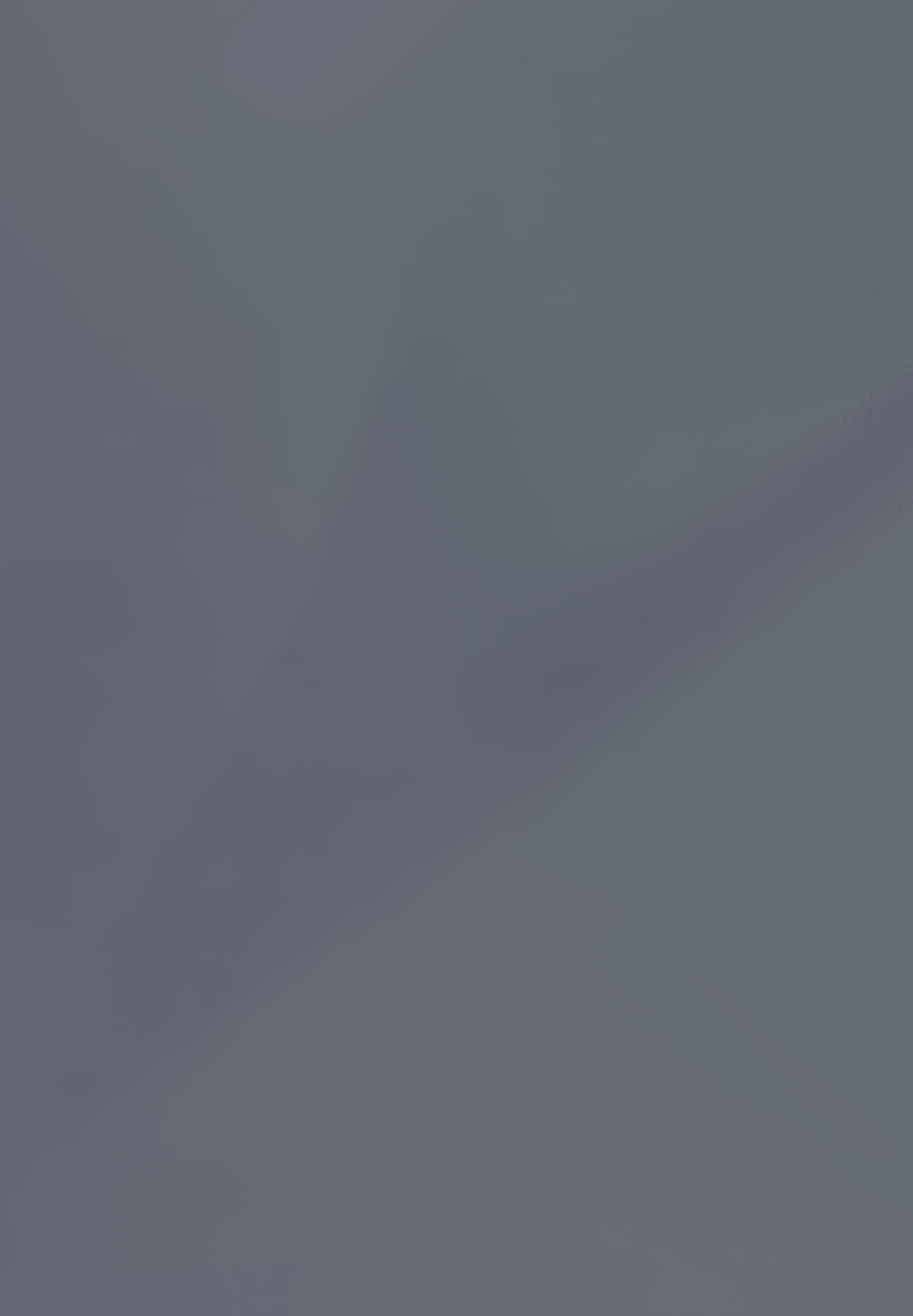 Neck.png
