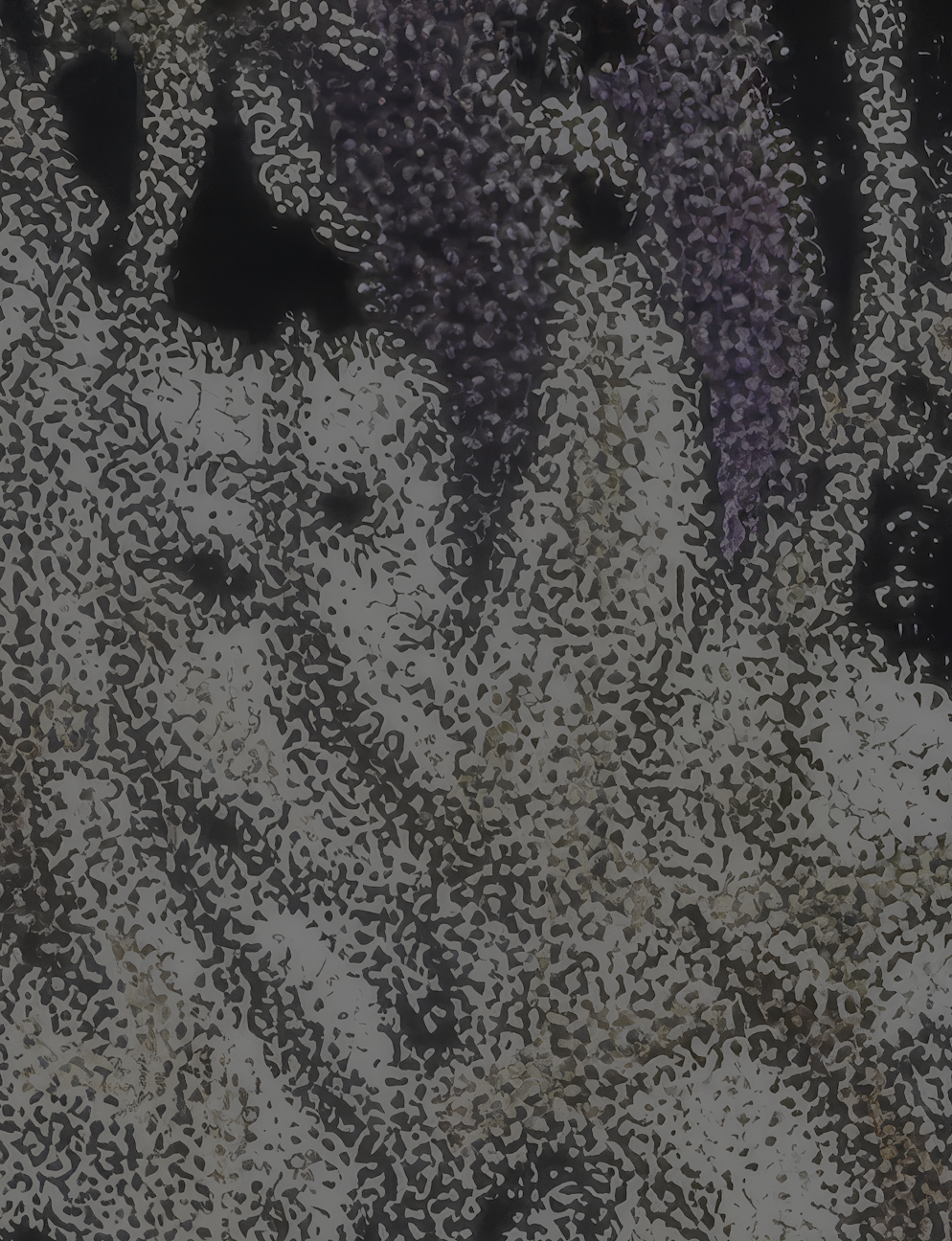 Hair.png