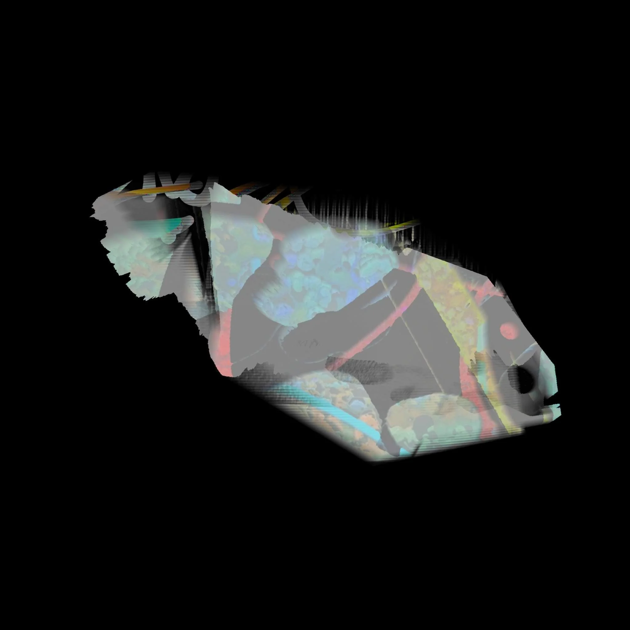 Fish.jpg