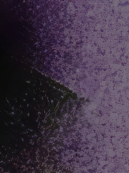 Purple.png