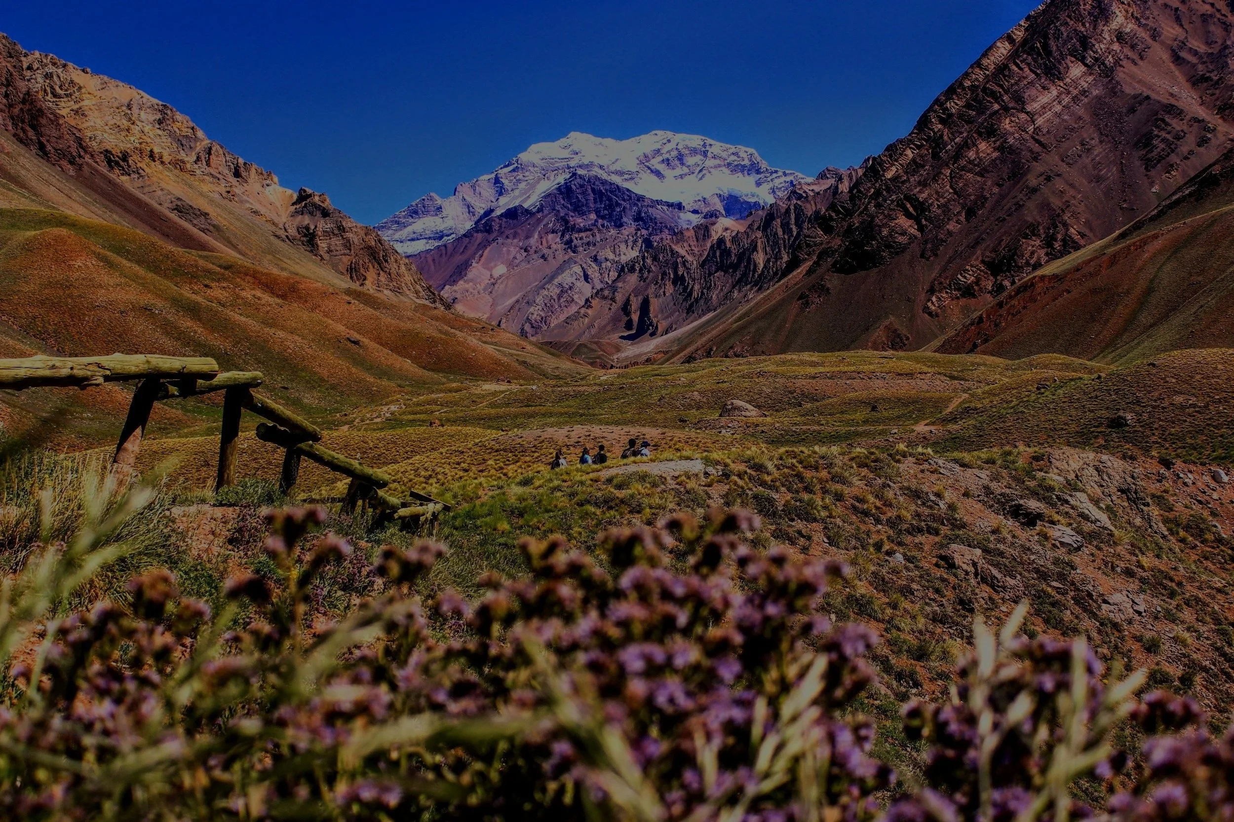 unsplash-image-eNWcXCbE5fI.jpg