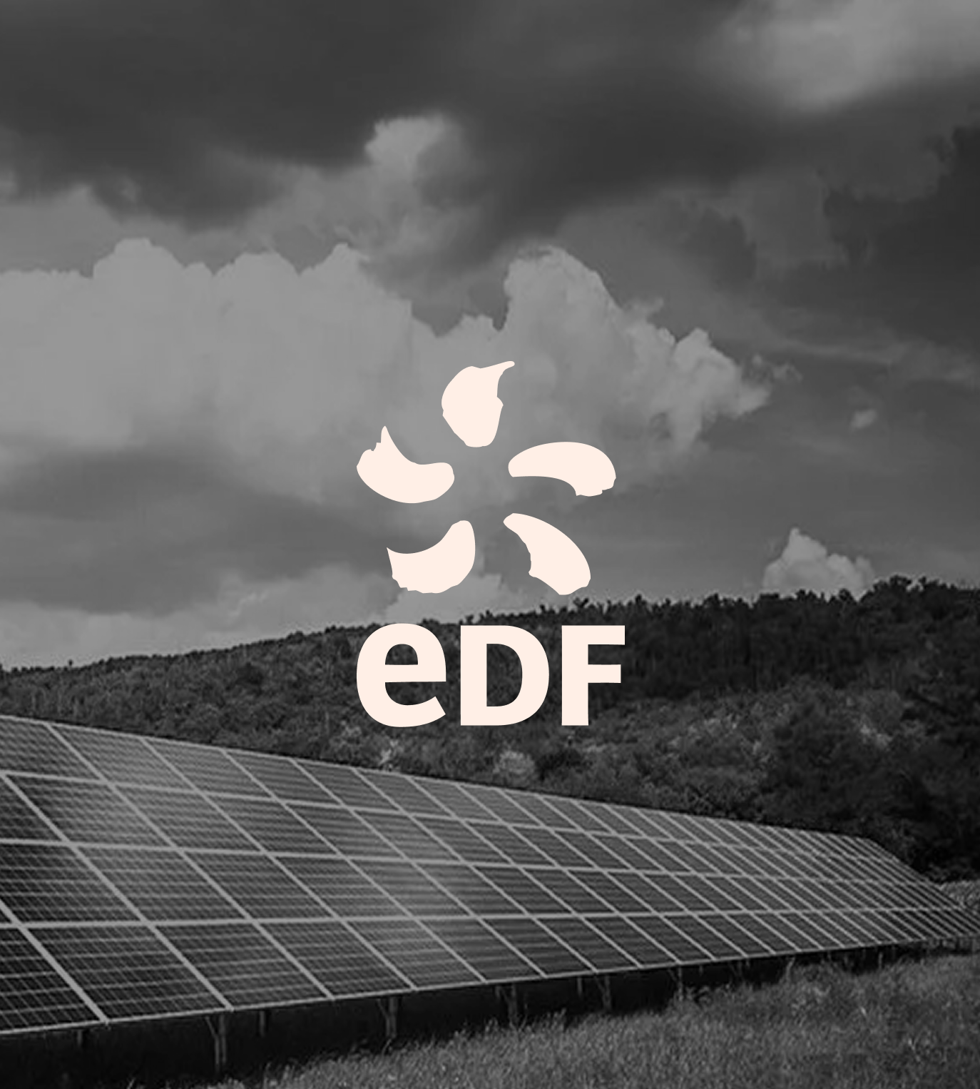 Black and white photo of a solar panel array in a field with hills and trees in the background, overcast sky with dark clouds, and a logo with the letters 'EDF' and a flower-shaped symbol overlayed.