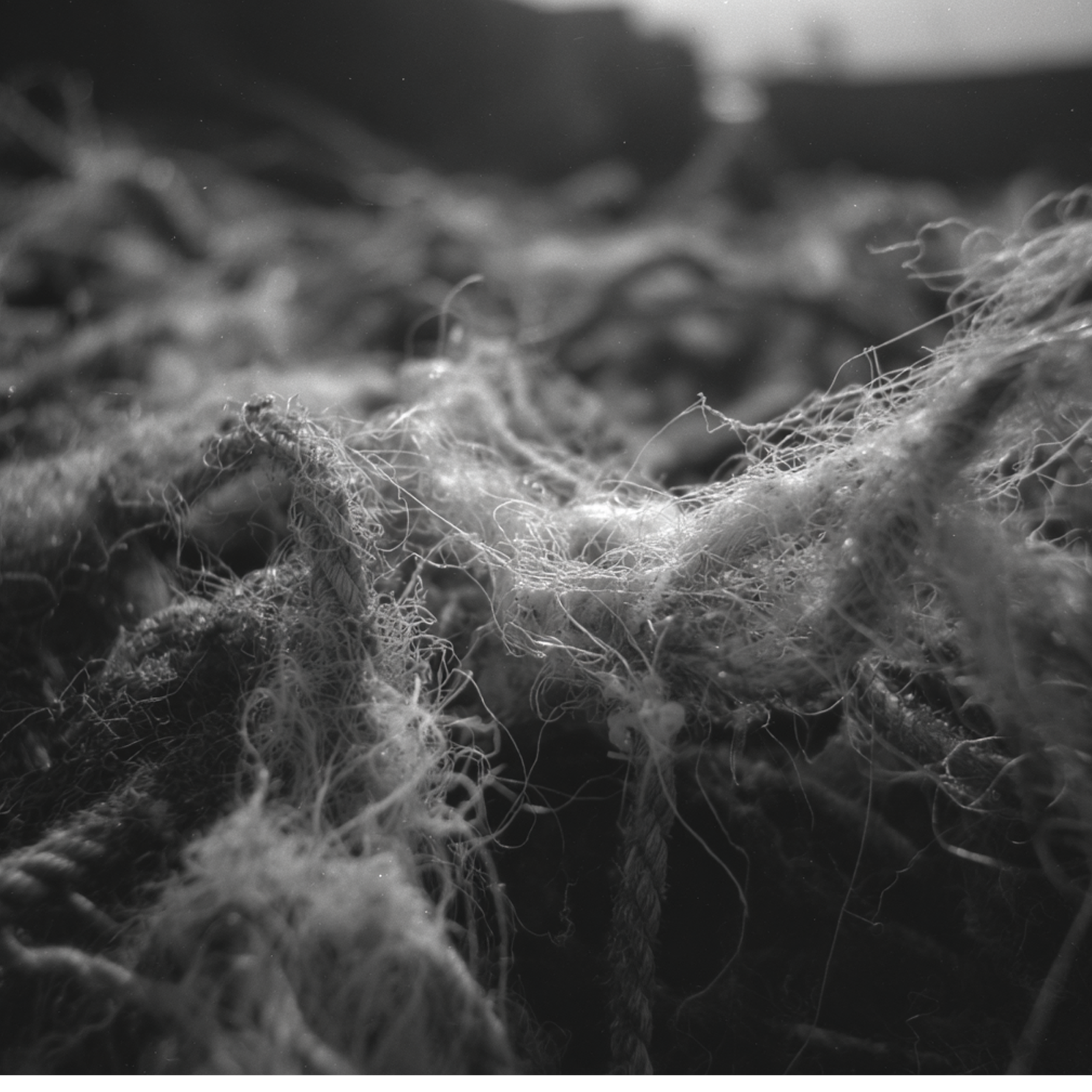 Close-up of tangled, frayed nets in black and white.