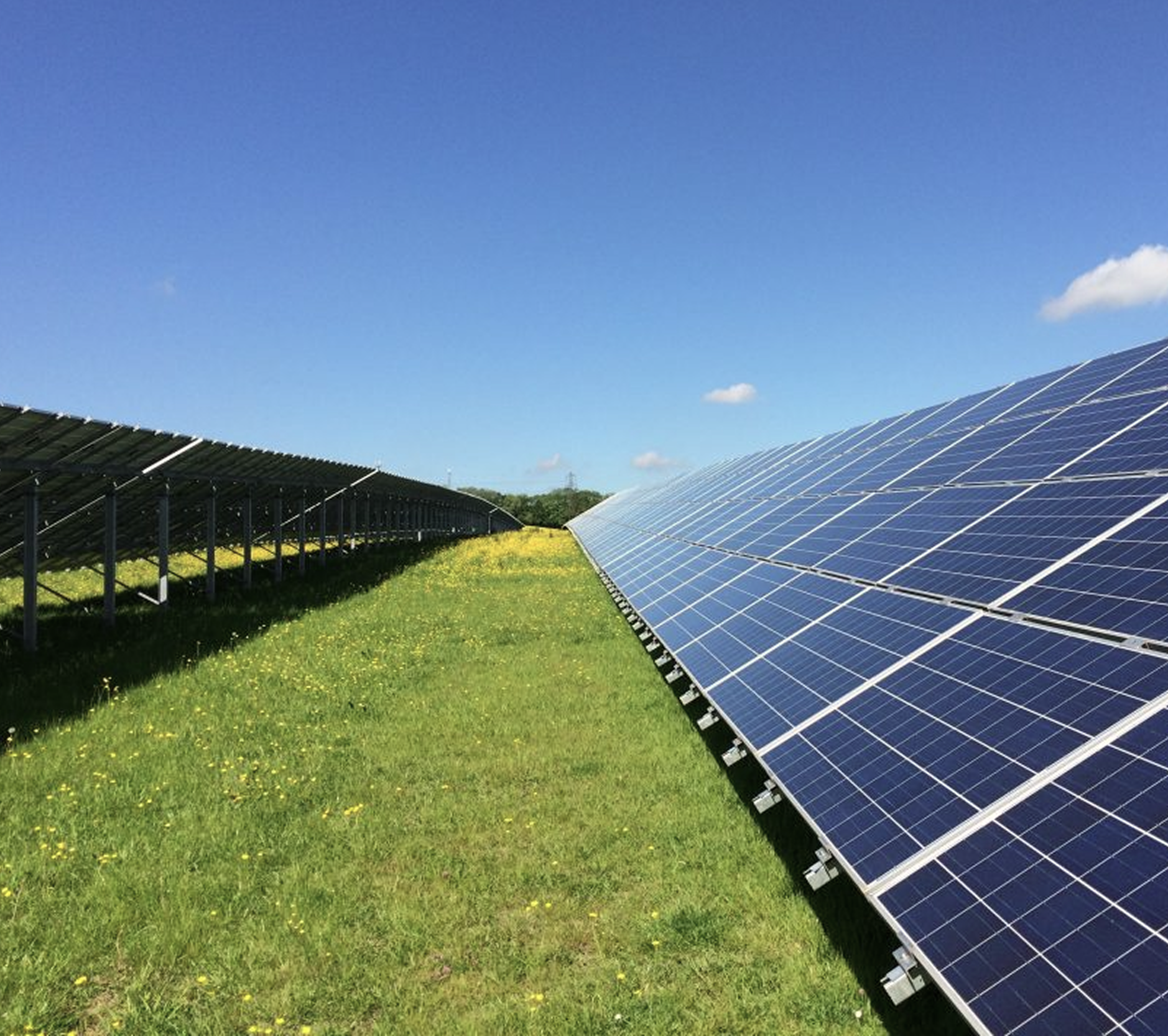 Solar panels in a grassy field under a clear blue sky with a few small clouds.