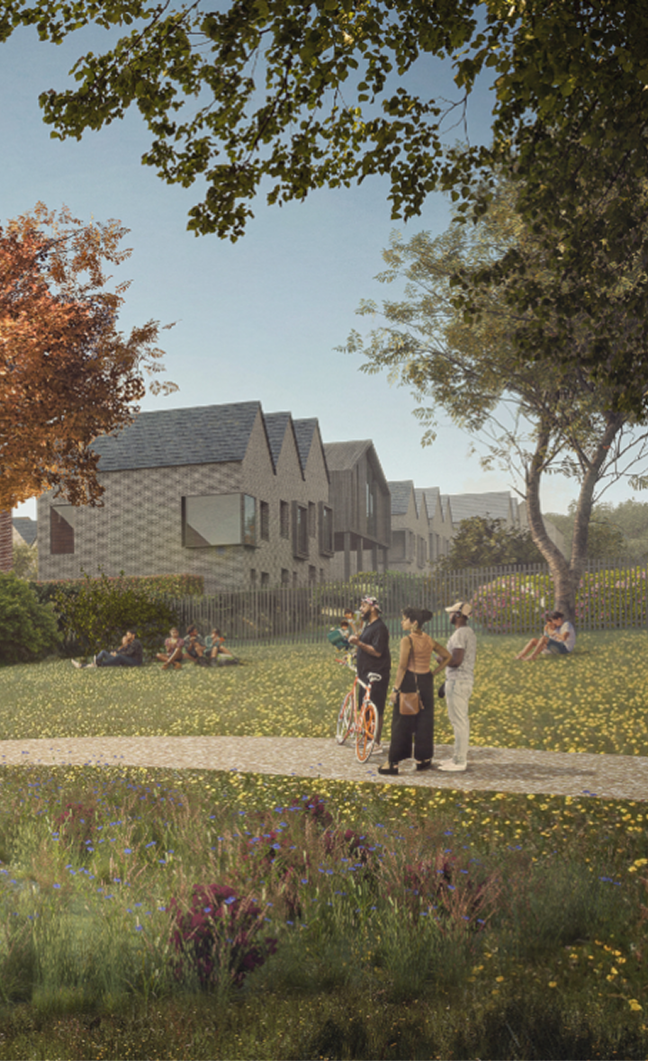 People enjoy a park with green grass, trees, and a walking path, residential buildings in the background, and a bright blue sky.