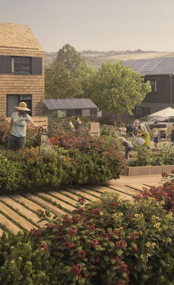 People working in a lush garden with flowering plants, trees, and wooden pathways, some watering plants, in a residential area with houses and hills in the background.