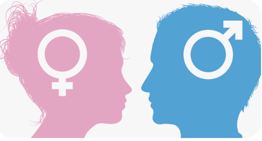 Should I Choose a Male or Female Therapist?