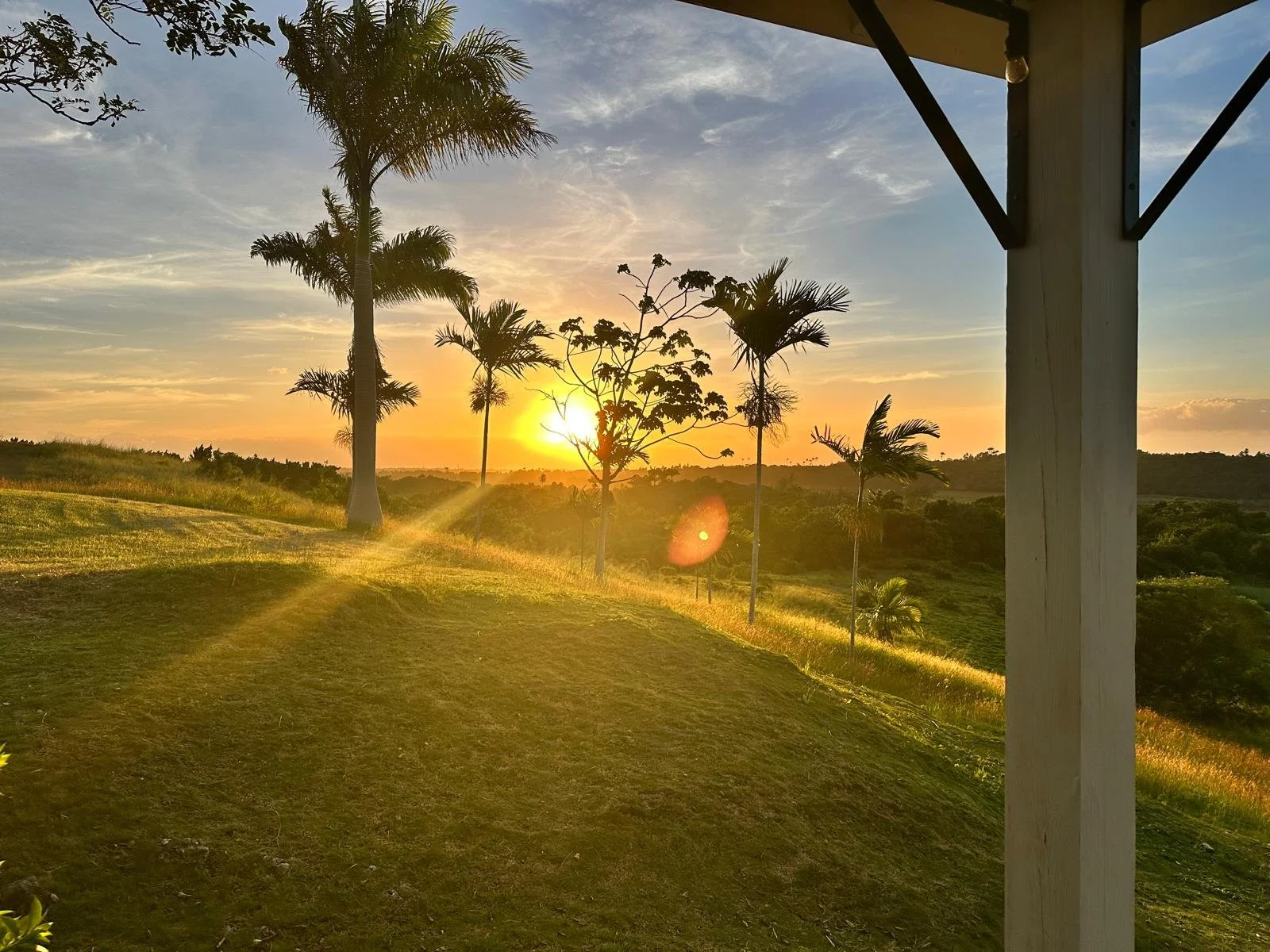 Karuṇā Needs a Backbone