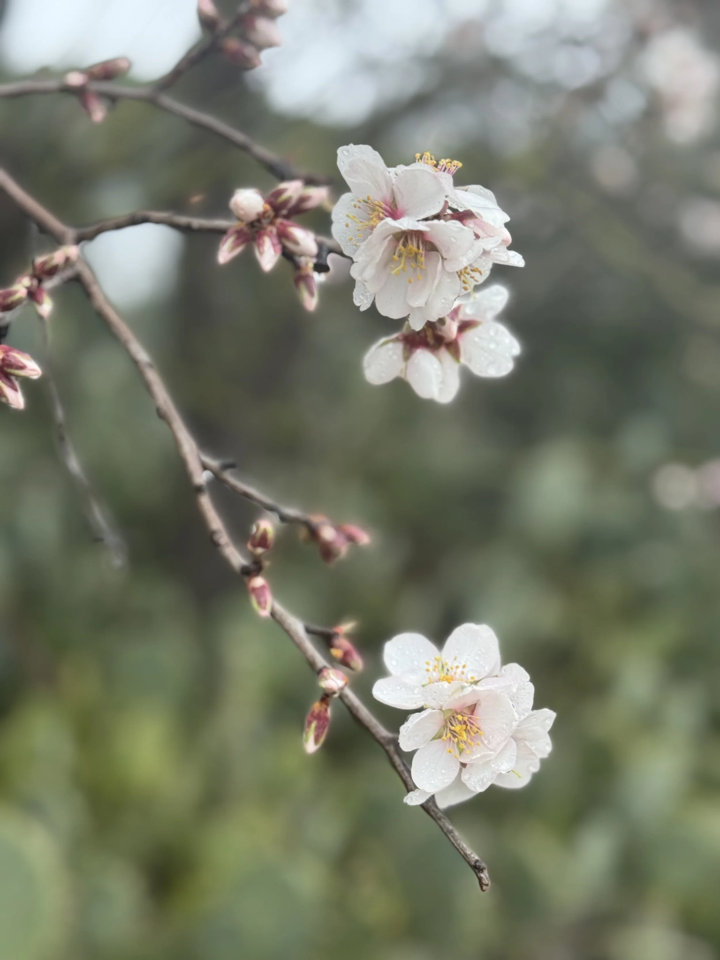 Holding the shape of a life mid-transition